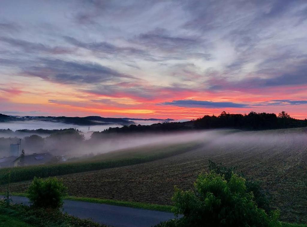 een uitzicht op een mistig veld met een zonsopgang bij Landhaus Weitblick in Paldau