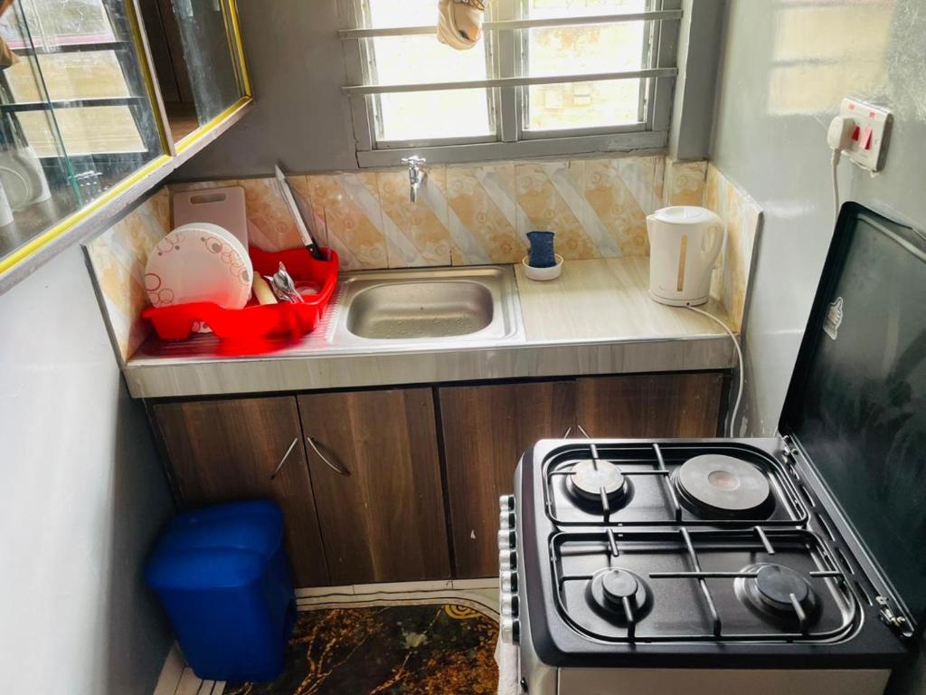een kleine keuken met een fornuis en een spoelbak bij Le Comfort in Eldoret