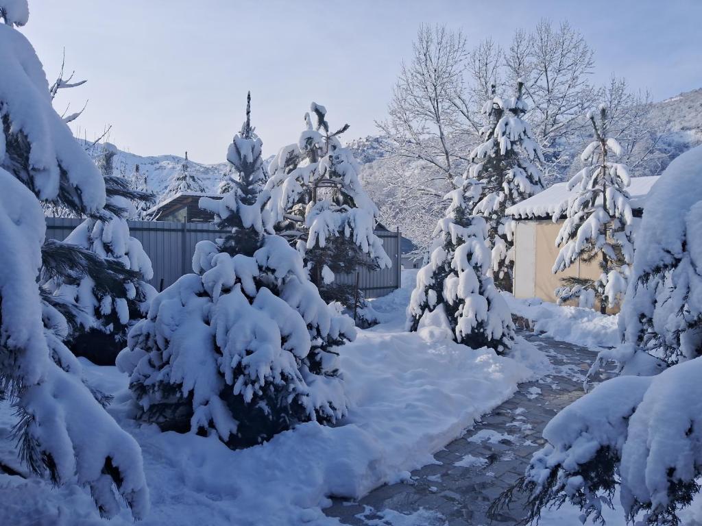 een sneeuwbedekte tuin met bomen en een huis bij Chimgan Gora in Chimgan