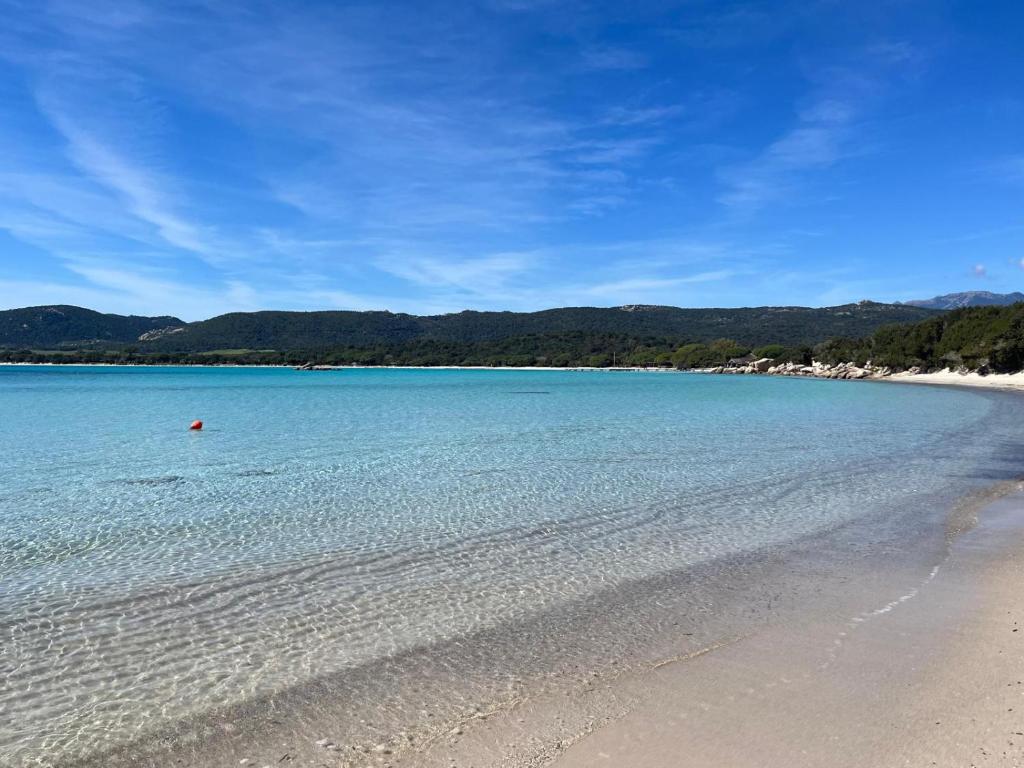 a beach with clear blue water and mountains in the background at Bellavistaloc' in Porto-Vecchio