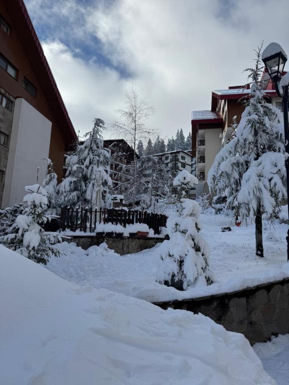 Lucky SP apartments -Pamporovo om vinteren