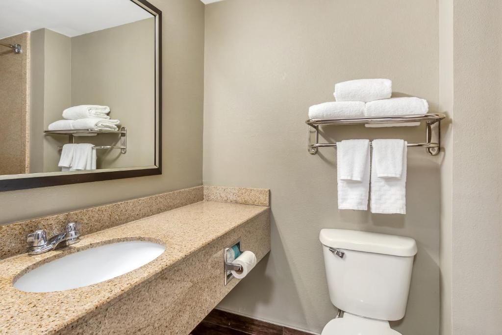 Comfort Inn & Suites North Charleston - Northwoods photo
