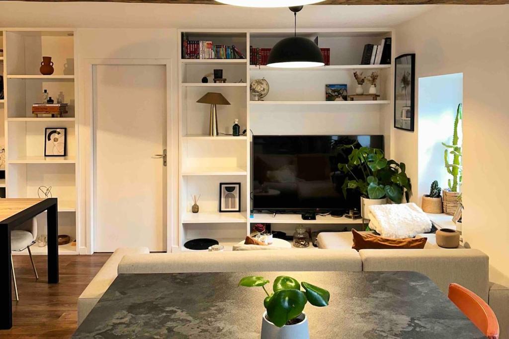 TV a/nebo společenská místnost v ubytování Cozy fully-equipped apartment in Charboniere