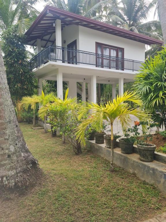 Gallery image of Elixir77 in Tangalle