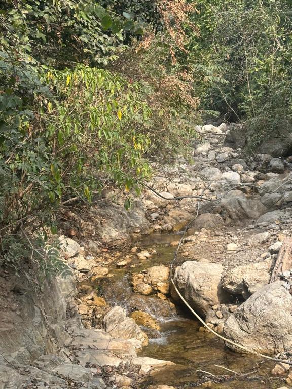 een beek met een touw langs de zijkant van een berg bij Rishikesh Sadan Studio- Best stay in Tapovan , Guests Favourite,Travellers Delight!! in Rishīkesh