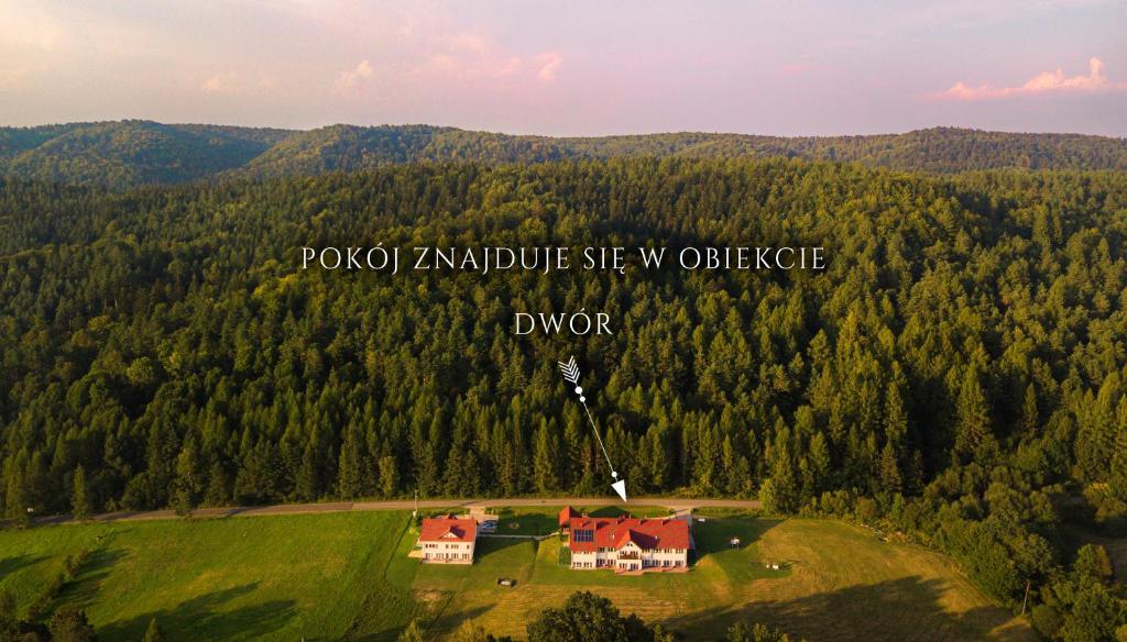 Dwór i Dworek Leszczowate Wellness & Spa - 13