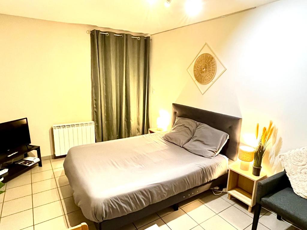 Charmant studio centre ville - 1