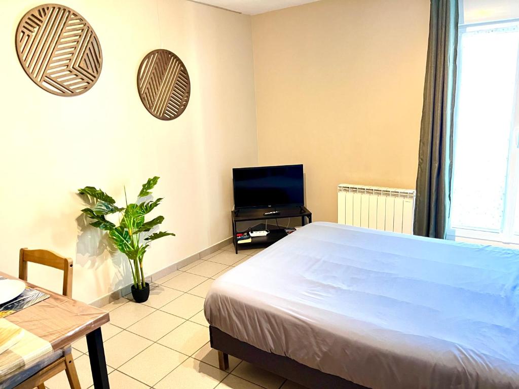 Charmant studio centre ville - 12