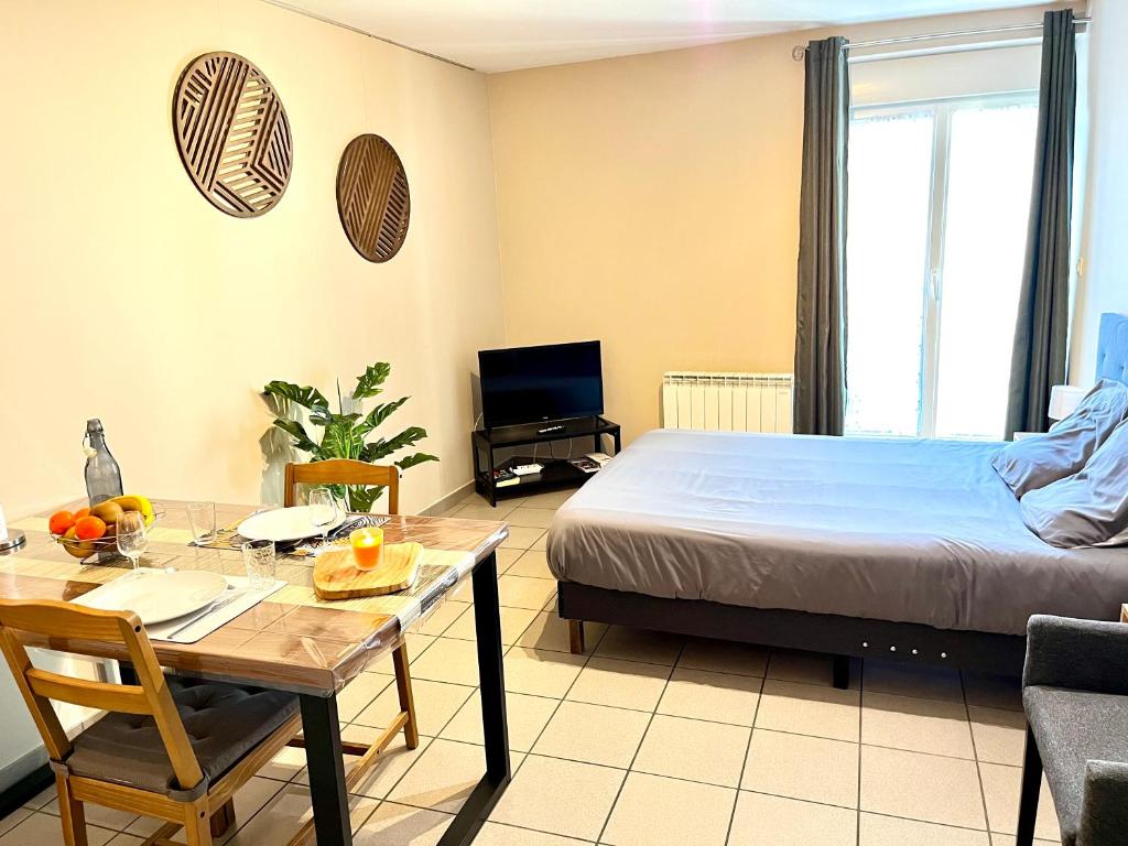 Charmant studio centre ville - 11