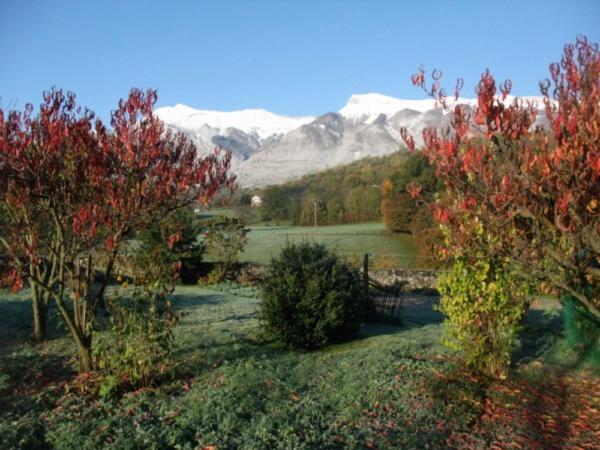 a field with trees and snowy mountains in the background at loft en Savoie in Tournon