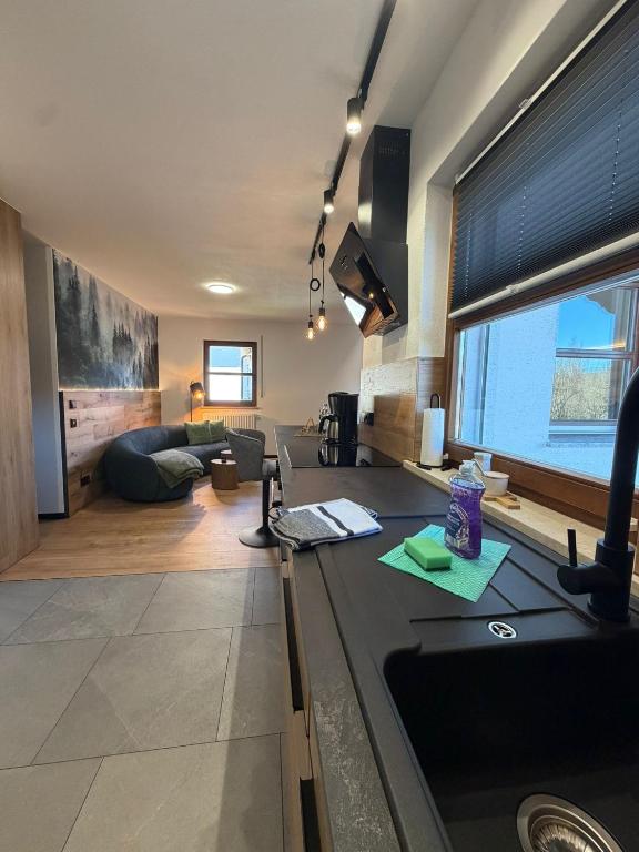 a kitchen and living room with a sink and a couch at woidpanorama 3 Appartement in Neuschönau