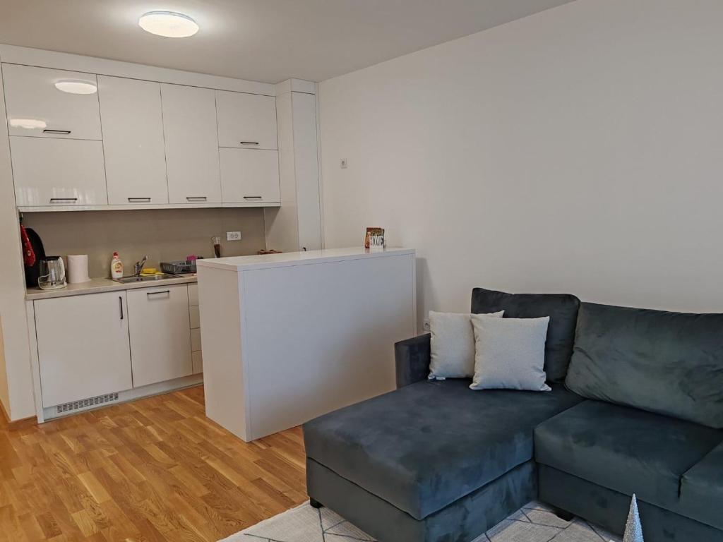 een woonkamer met een bank en een keuken bij Royal Queen in Vrnjačka Banja