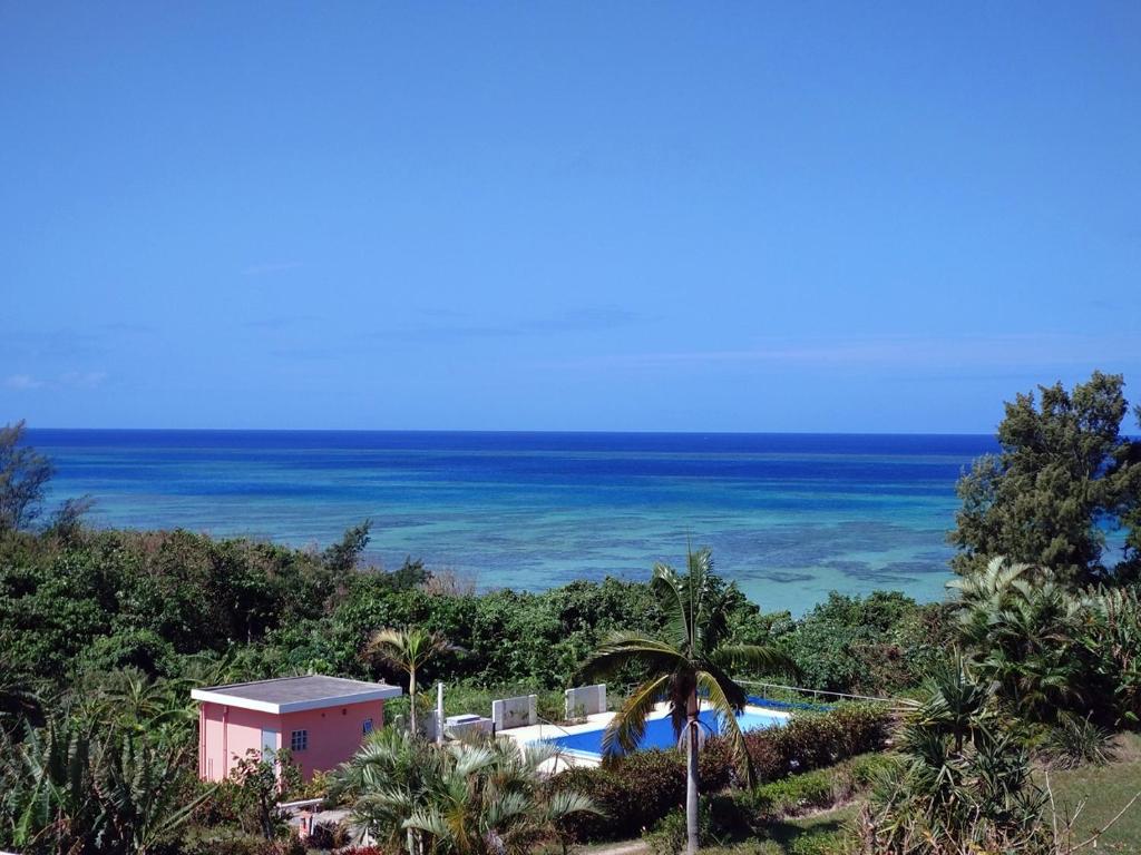 une piscine avec l'océan en arrière-plan dans l'établissement Beach Village Nosoko, à Ishigaki