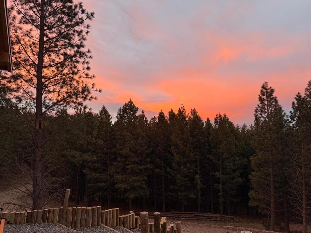 Natuurlandschap vlak bij het chalet