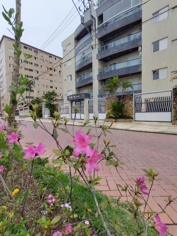 a bunch of pink flowers in front of a building at Espaço da Paz e Serenidade in Praia Grande