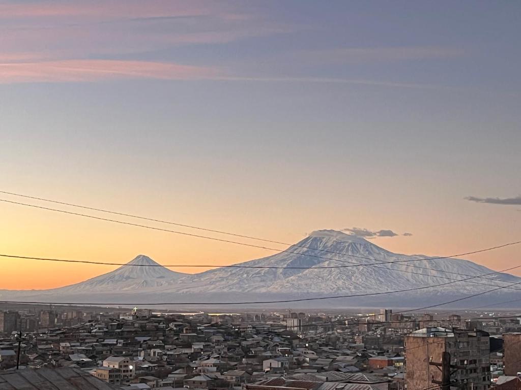 Noah's sunlight villa hostel