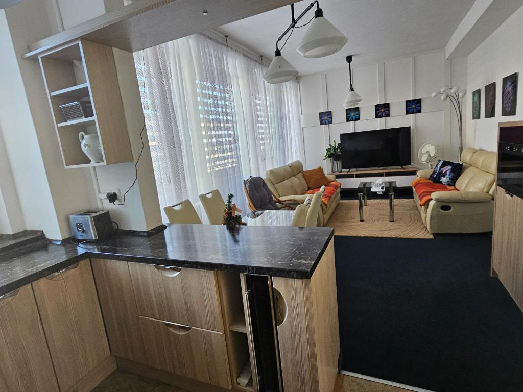 a kitchen and living room with a living room at Apartmán Vintage A2 v Chomutově in Chomutov