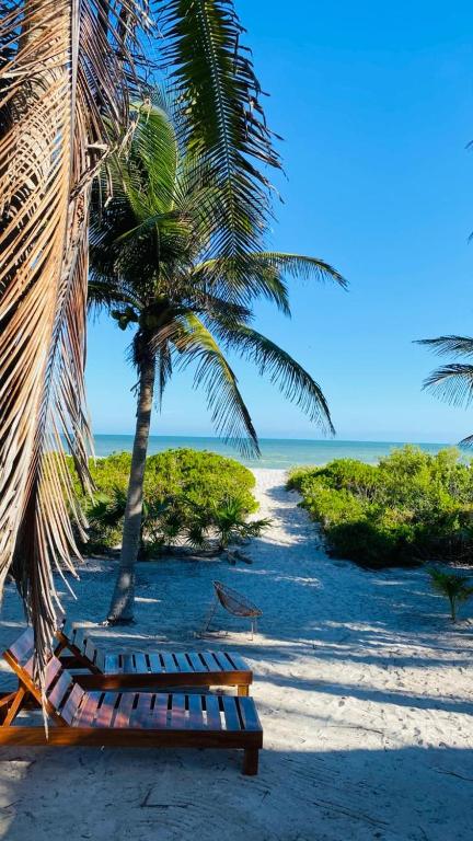 ภูมิทัศน์ธรรมชาติใกล้โรงแรม