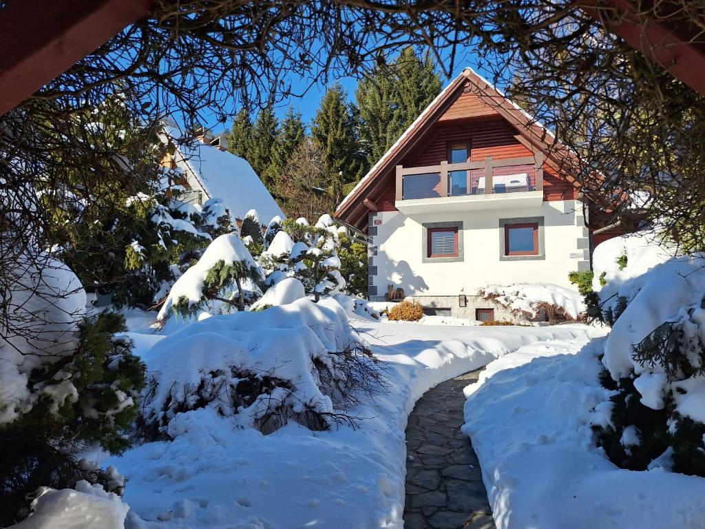 霍茨科波霍尔耶Pohorje Zen Garden的一栋被雪覆盖的房子，旁边有一条小路