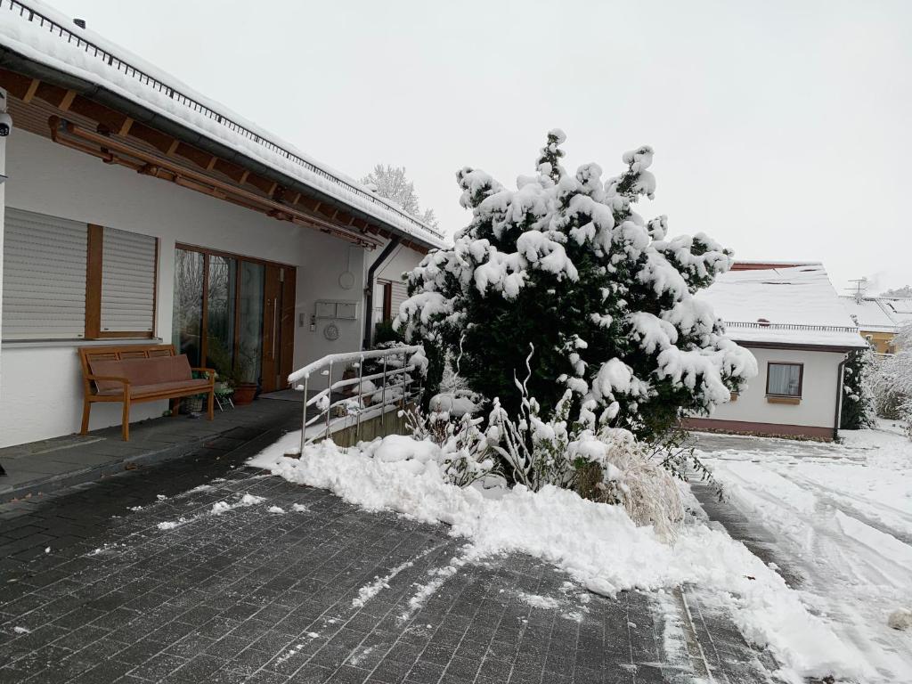 Bergnest trong mùa đông