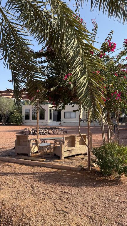 Зображення з фотогалереї помешкання مزرعة كين у місті Хаїль