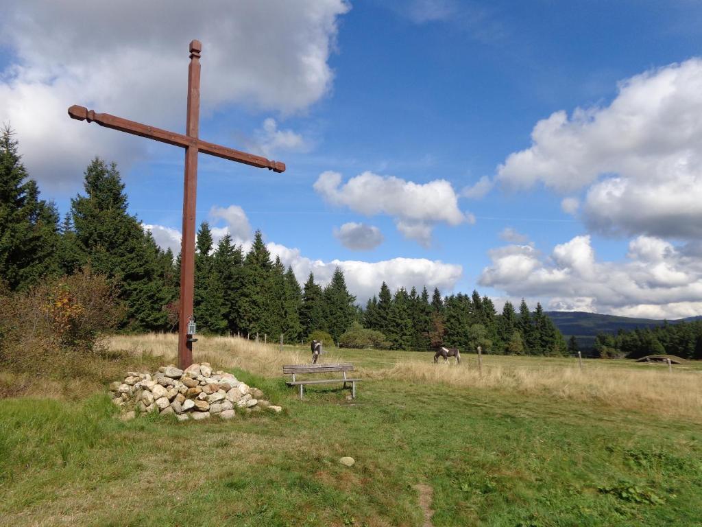Příroda nedaleko apartmánu
