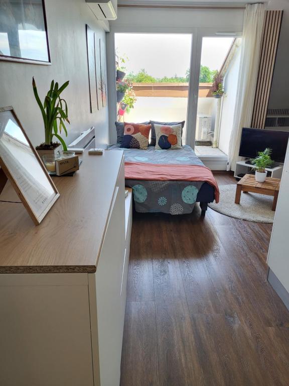 Et opholdsområde på Beautiful Studio at Geneva airport Ferney Voltaire