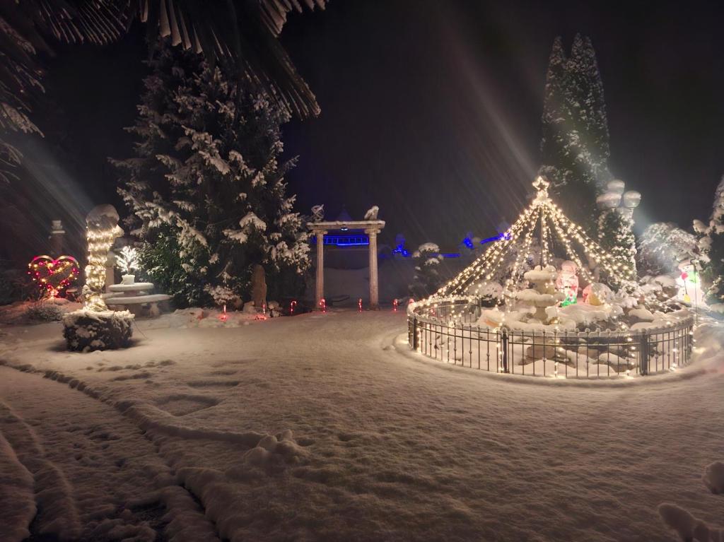 a display of christmas lights in a park at night at Ferienwohnungen Garten Eden in Trebesing