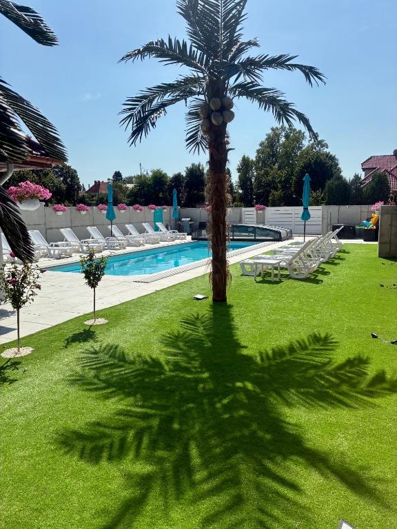 a palm tree casts a shadow on the grass near a swimming pool at Apartament Aqua Mazury z jacuzzi in Ełk