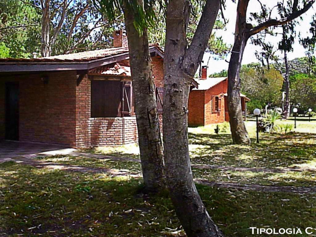 a brick house with two trees in front of it at Cabañas La Paloma in La Paloma