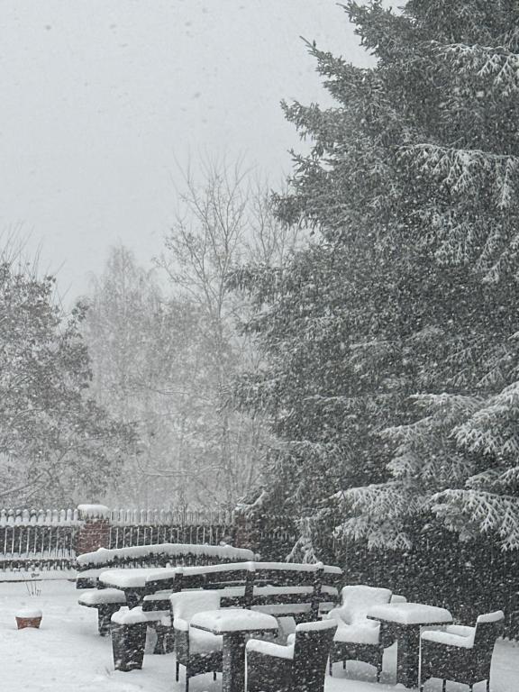a group of benches covered in snow in a park at Świat Jezior in Mikołajki