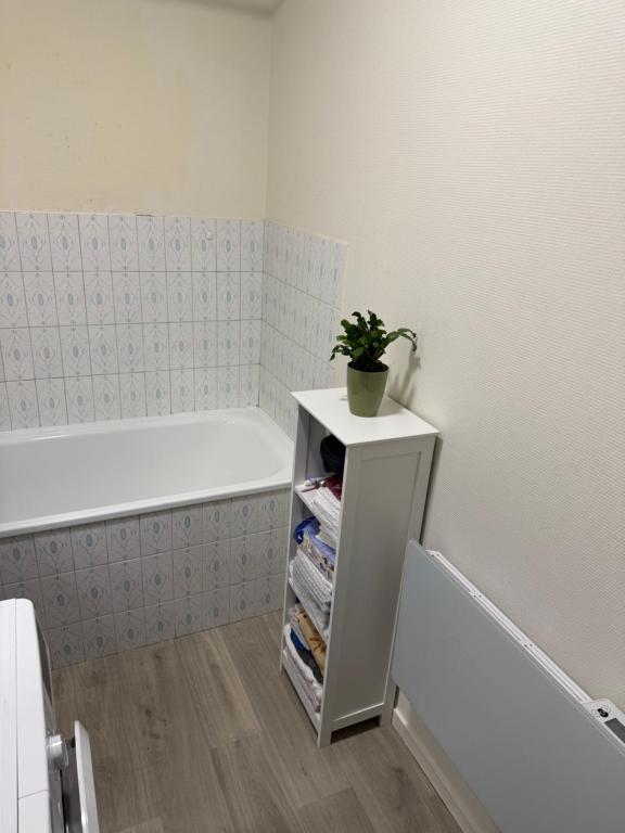 eine Topfpflanze auf einem weißen Regal in einem Zimmer in der Unterkunft Escale Berckoise Studio Cosy Proche des Phoques in Berck-sur-Mer