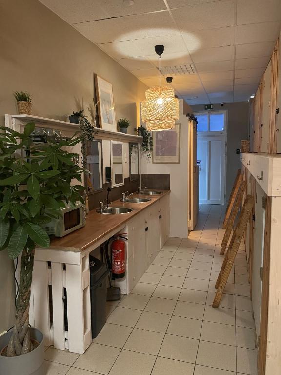 een keuken met twee wastafels en een potplant bij Urban Capsule in Dresden