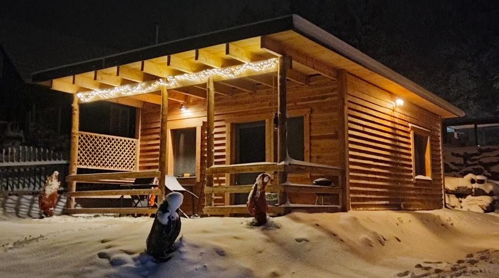 a log cabin with three birds standing outside in the snow at DingDong in Unteraichwald