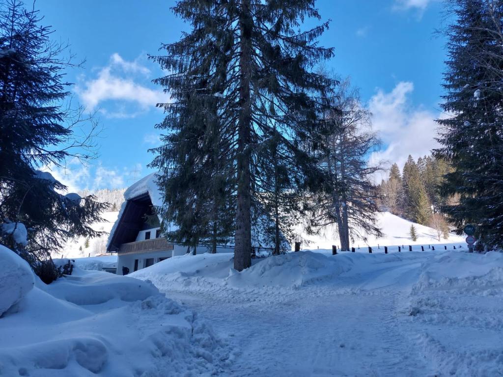 Landhaus am Pyhrn trong mùa đông