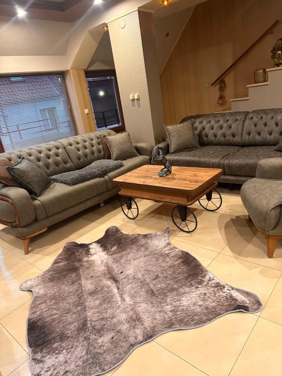 un salon avec des canapés et une table basse dans l'établissement Мезонет “Djanina”, à Sandanski