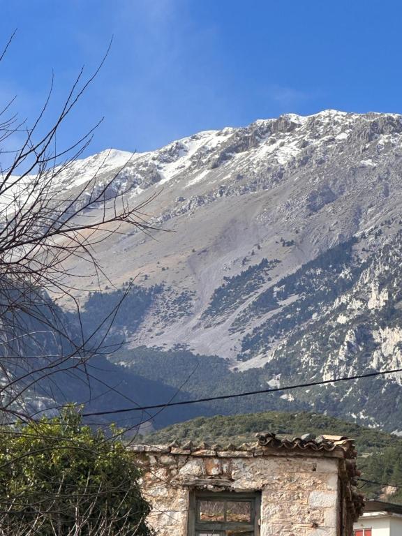 En generel udsigt til bjerge eller udsigt til bjerge taget fra pensionatet