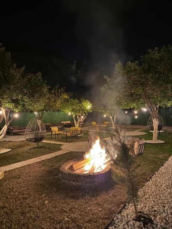 لابی و فضای عمومی Gızlıkoyhotel - تصویر ۵