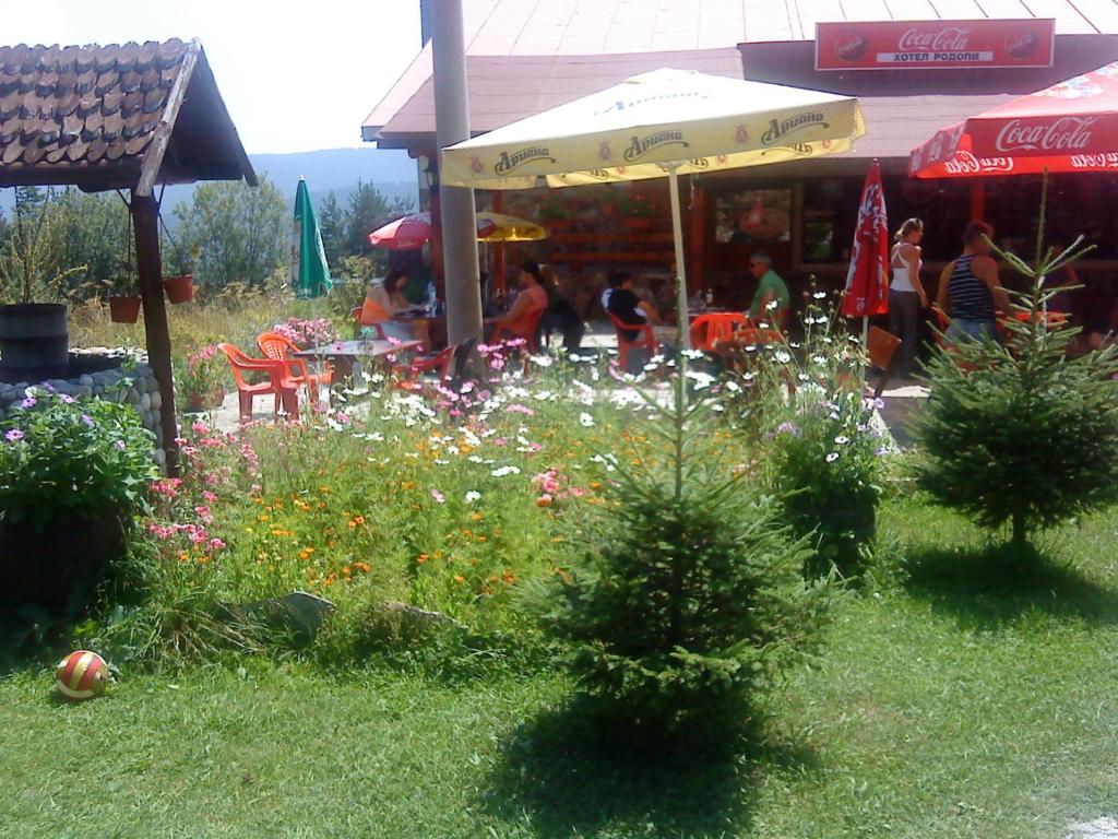 Galeriebild der Unterkunft Park Hotel Rodopi in Skobelevo