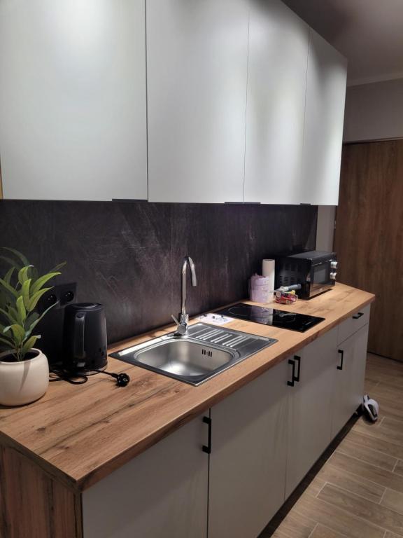 une cuisine avec un évier et un plan de travail dans l'établissement Axo-Hostel 1, à Stalowa Wola