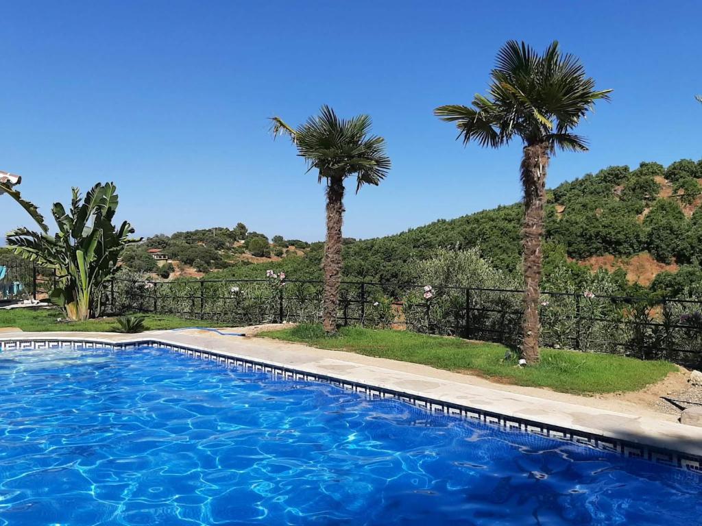 een zwembad met twee palmbomen en een hek bij La única in Coín