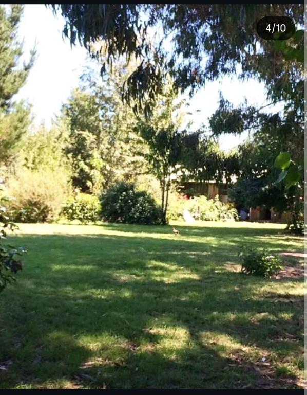 Relajo en plena naturaleza