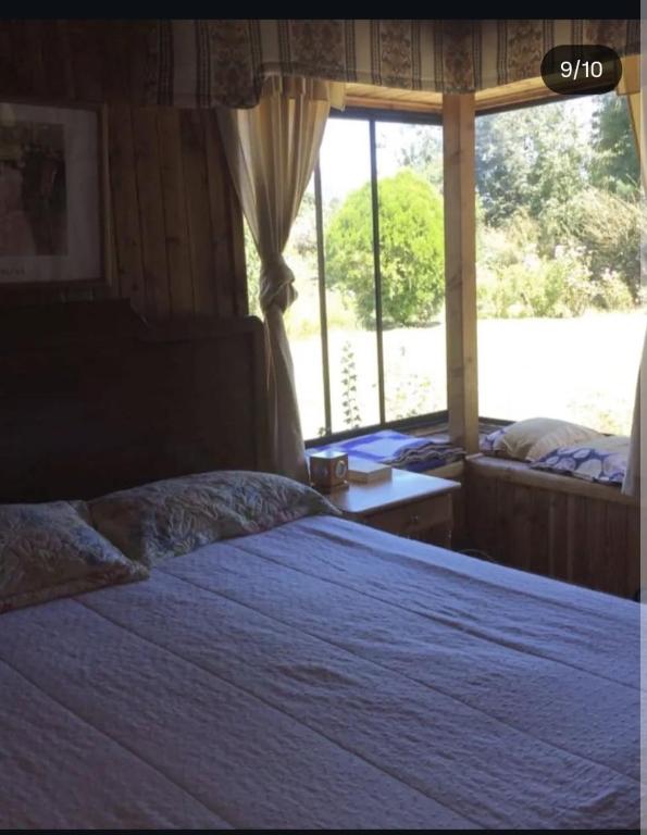 Relajo en plena naturaleza