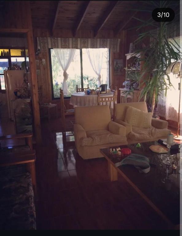 Relajo en plena naturaleza