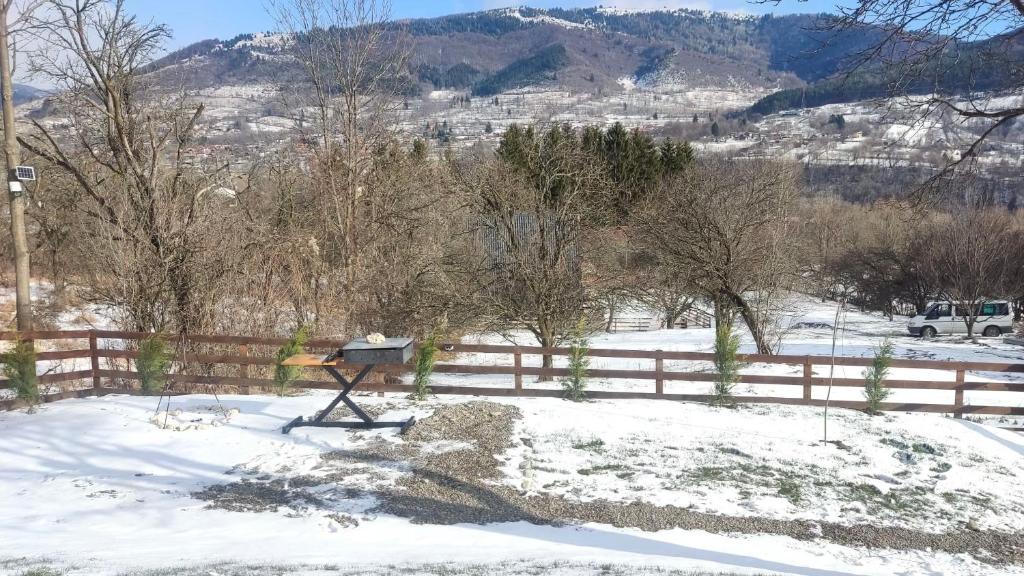 een met sneeuw bedekt veld met een hek en bomen bij Art A Cabin in Teşila