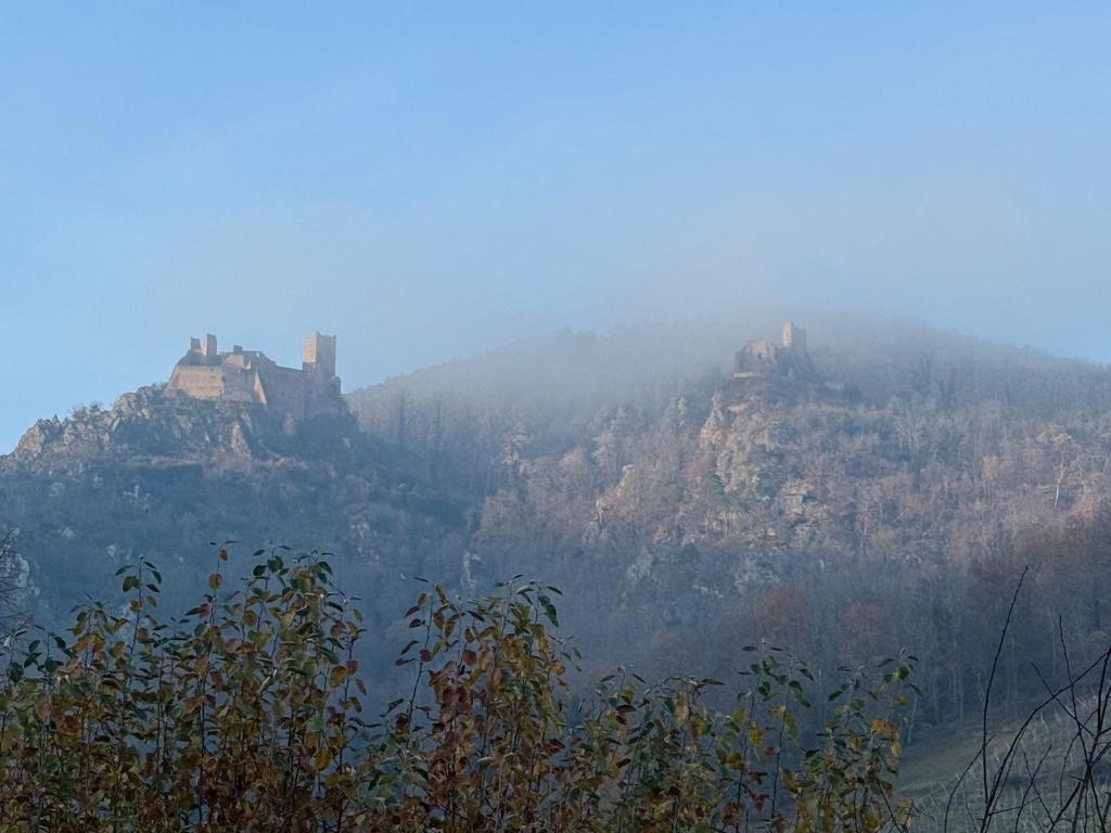La maison d'Yvonne – photo 34