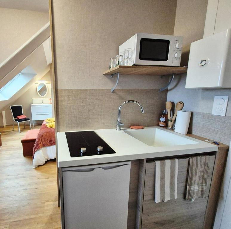 een kleine keuken met een spoelbak en een magnetron bij Studio Terra in Ploërmel