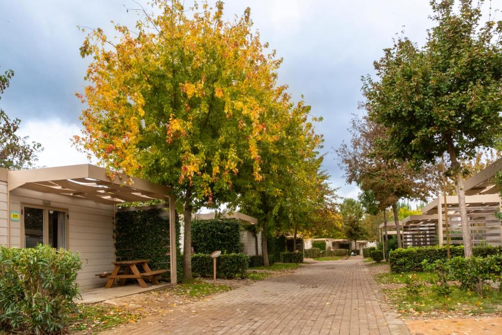 una strada in mattoni con alberi di fronte a un edificio di hu Firenze Camping in Town a Firenze