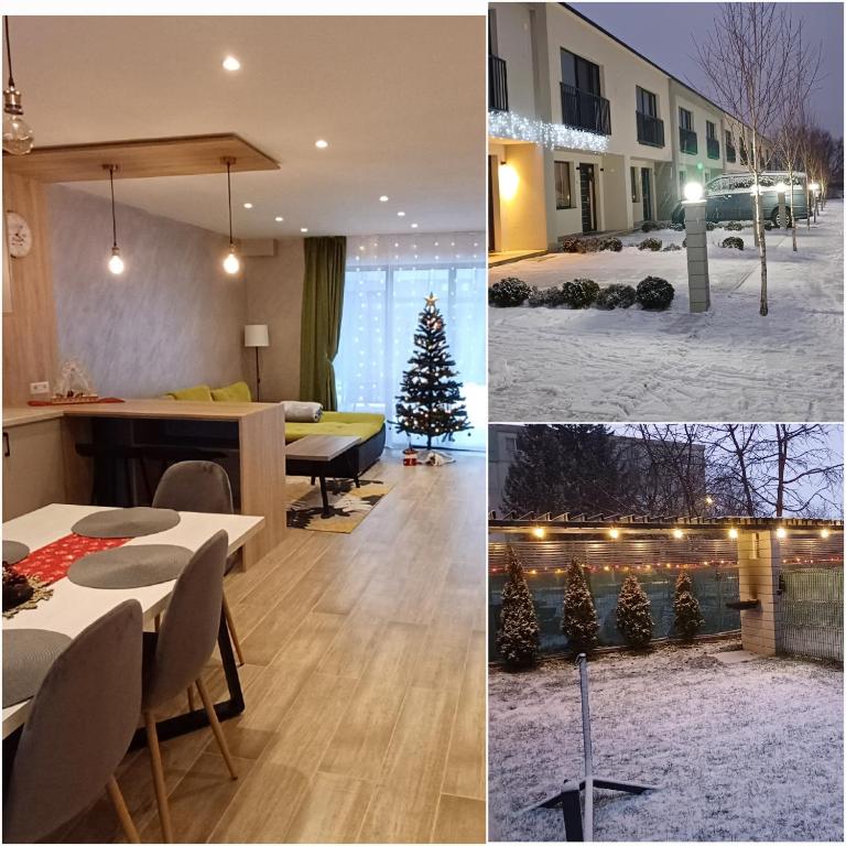 布拉索夫CP Residence Apart的一本有圣诞树的房子的照片拼贴