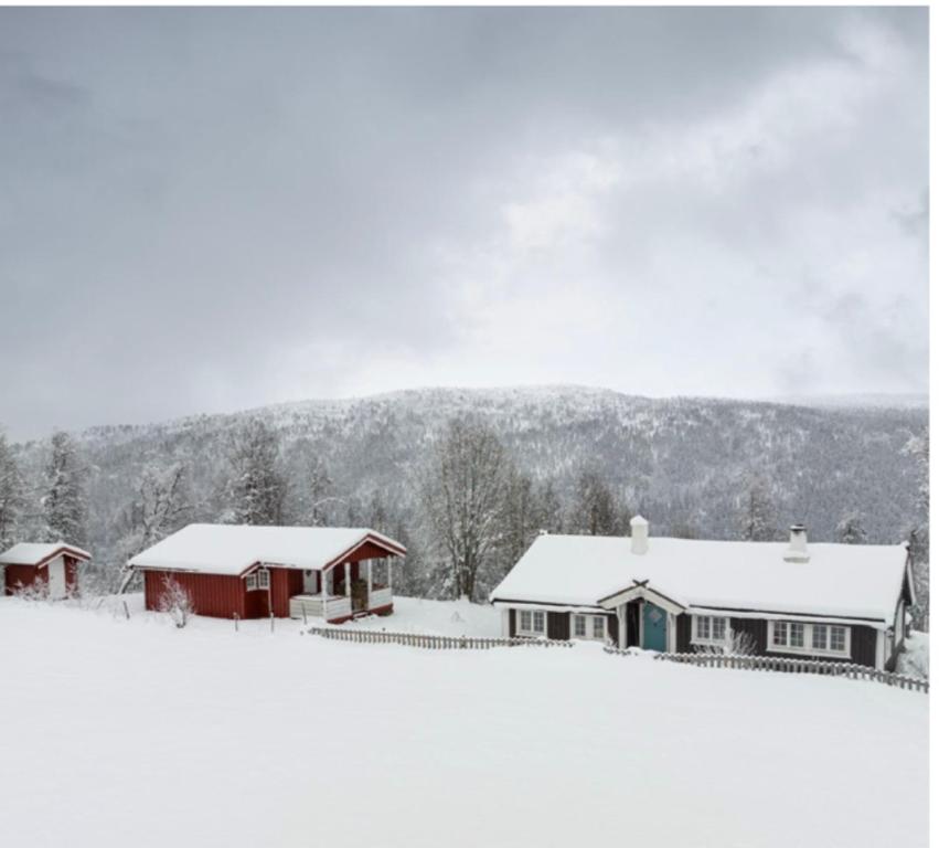 Geilo, two cabins, silence, nature, skiing and summer sports v zimě